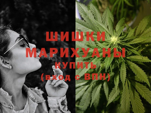 PSILOCYBIN Карпинск