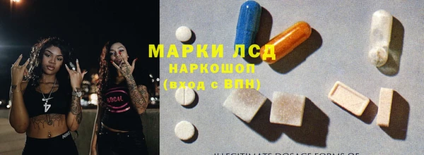 гашик Касимов