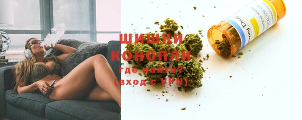 гашик Касимов