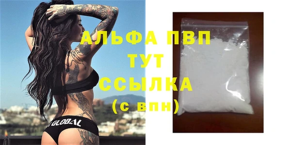 гашик Касимов
