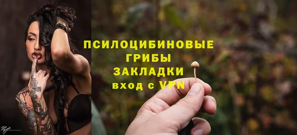 гашик Касимов