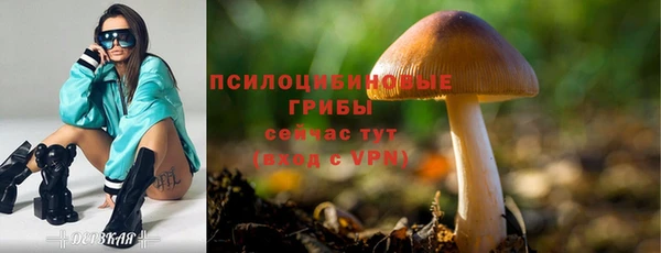 PSILOCYBIN Карпинск