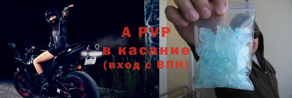 гашик Касимов