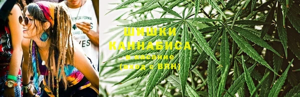 PSILOCYBIN Карпинск