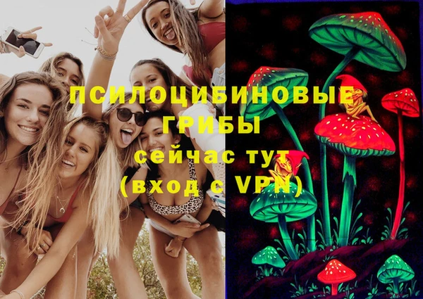 PSILOCYBIN Карпинск