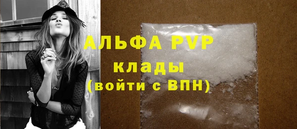 PSILOCYBIN Карпинск